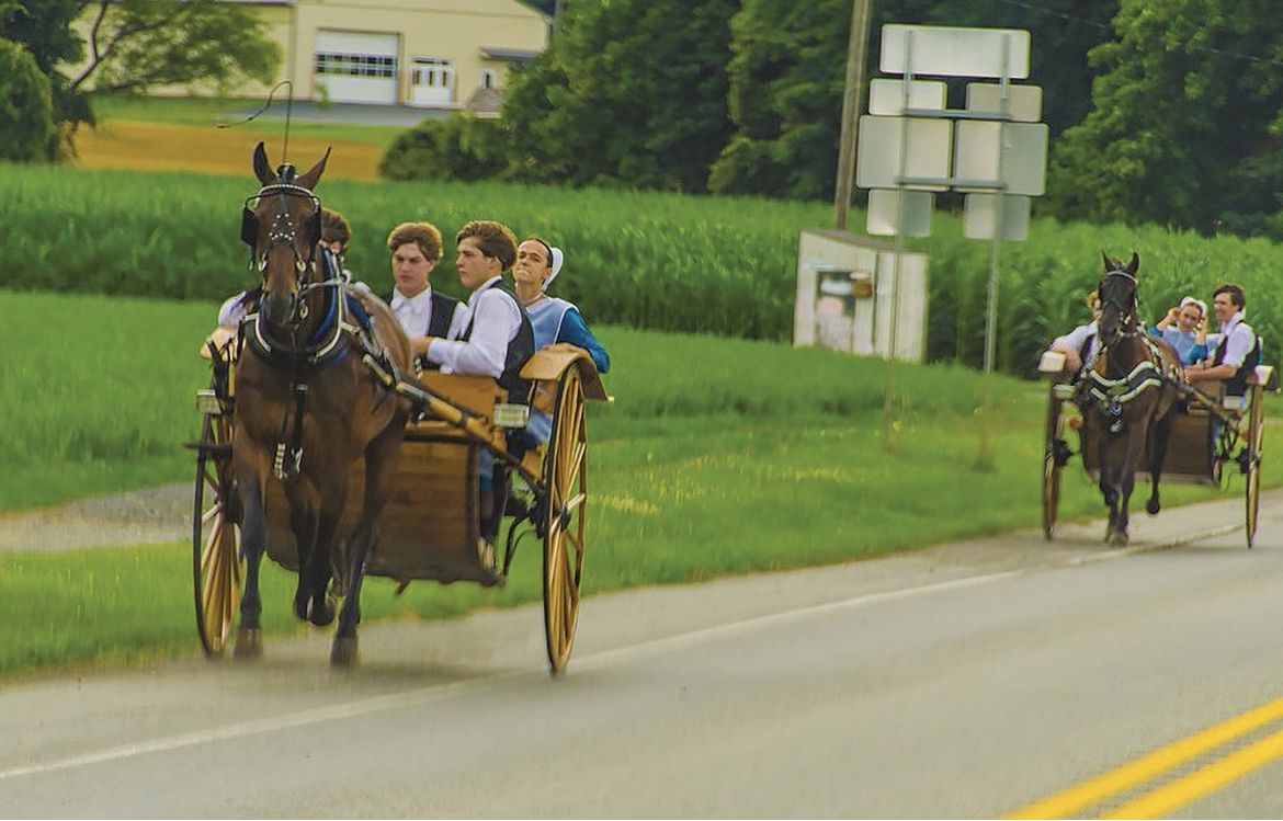 Les Amish délibèrent avant l'introduction d'une nouvelle technologie dans leur société.