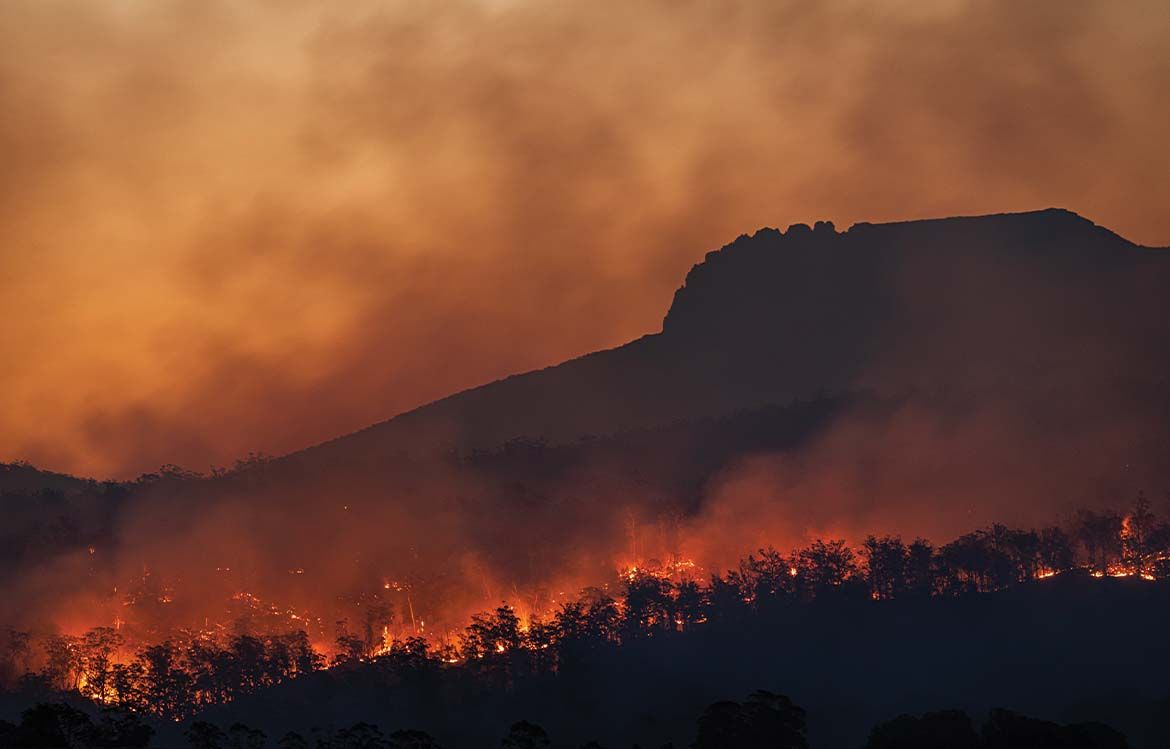 Black Summer, Australie 2019