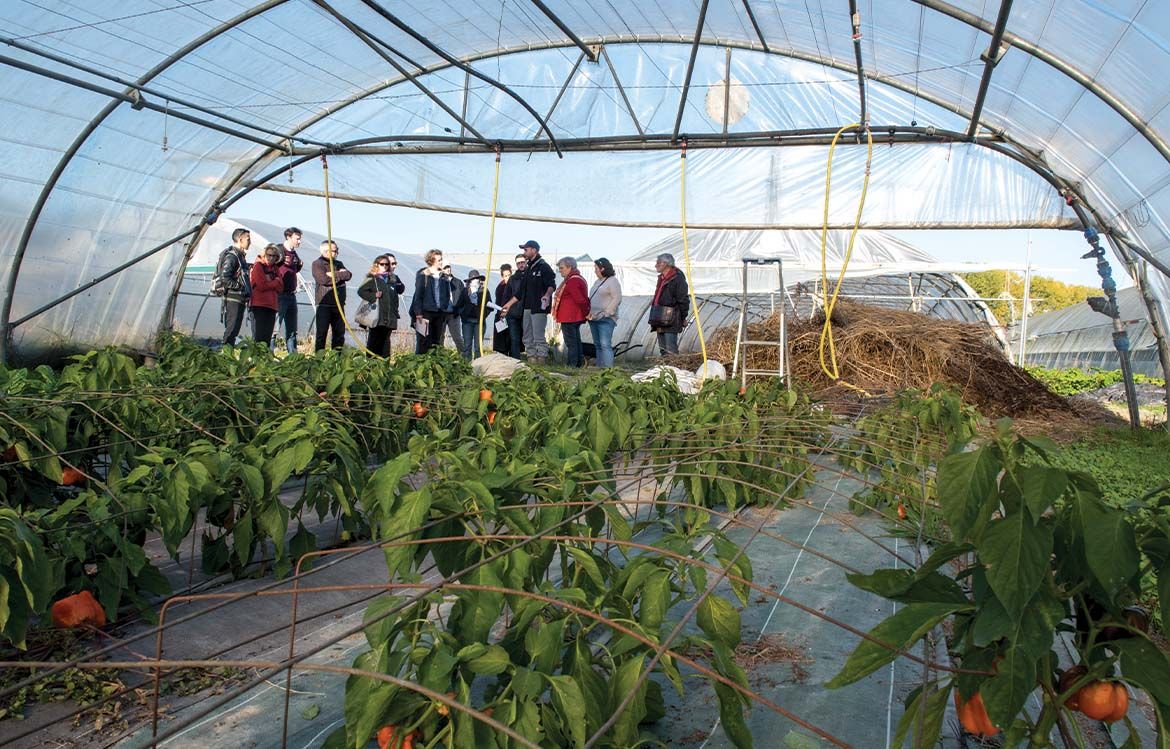 Journées portes ouvertes à la Ferme de Toussacq, organisées par l'association Terre de Liens Ile de France et ses partenaires,  les Champs des Possibles,  ABIOSOL et le Réseau Amap IdF.